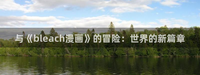 韩漫漫画网页：与《bleach漫画》的冒险：世界的新篇章