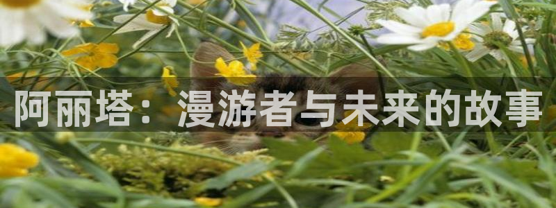 虫虫漫画网韩漫漫画大全：阿丽塔：漫游者与未来的故事